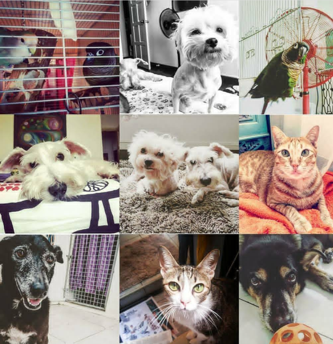 sketch-1510765045045